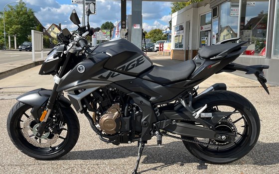 Neufahrzeug Voge R625 - Bild 1