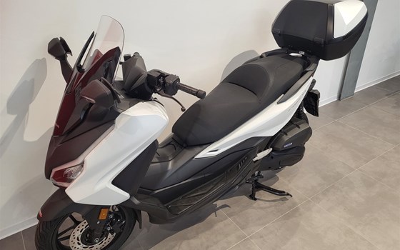 Neufahrzeug Honda Forza 125 - Bild 13