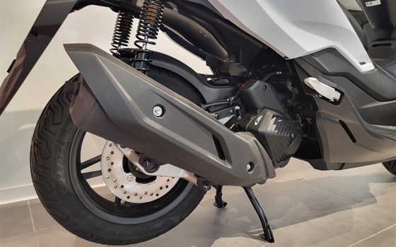 Neufahrzeug Honda Forza 125 - Bild 4
