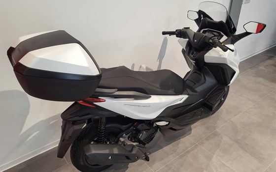 Neufahrzeug Honda Forza 125 - Bild 5
