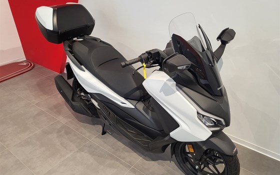 Neufahrzeug Honda Forza 125 - Bild 6