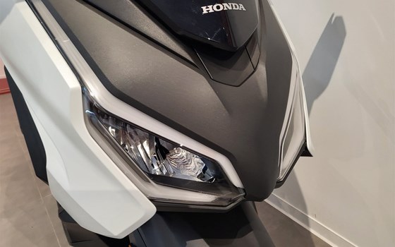 Neufahrzeug Honda Forza 125 - Bild 8
