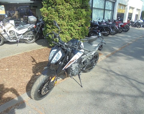 zum Vergrössern bitte anklicken!