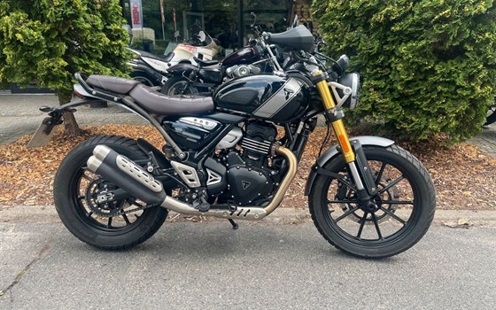 Gebrauchtmotorrad Triumph Scrambler 400 X - Bild 3