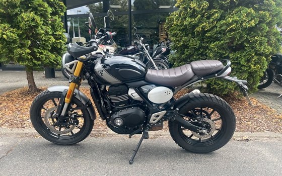 Gebrauchtmotorrad Triumph Scrambler 400 X - Bild 7