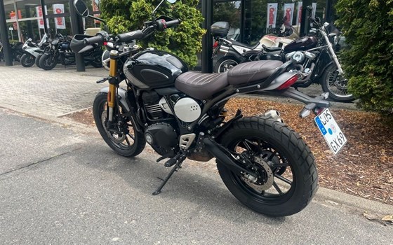 Gebrauchtmotorrad Triumph Scrambler 400 X - Bild 8
