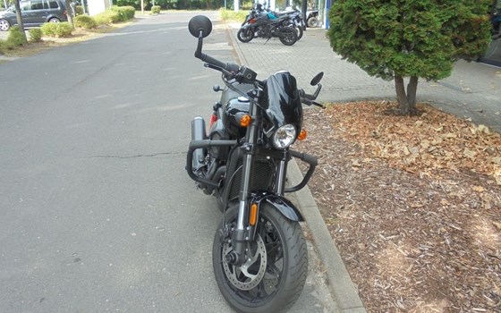 Gebrauchtmotorrad Harley-Davidson Street Rod - Bild 6