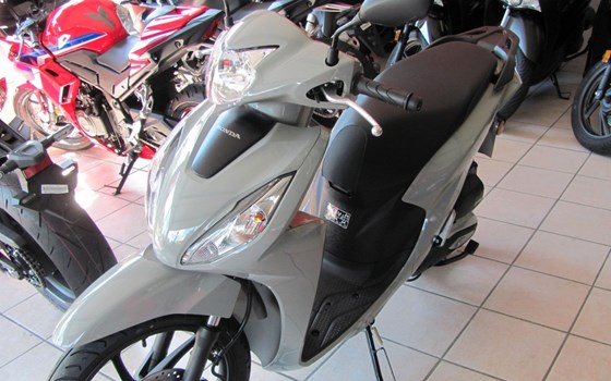 Neufahrzeug Honda Vision 110 - Bild 3