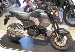 Neumotorrad Honda MSX125 Grom