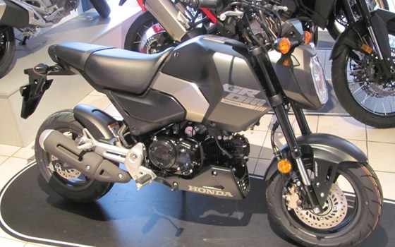 Neufahrzeug Honda MSX125 Grom - Bild 1