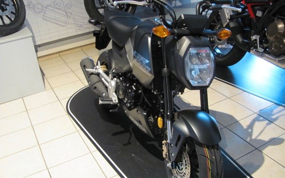 Neufahrzeug Honda MSX125 Grom - Bild 2