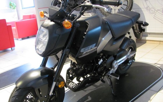 Neufahrzeug Honda MSX125 Grom - Bild 3