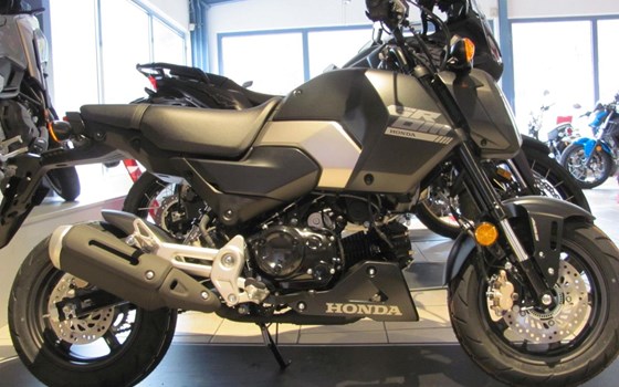 Neufahrzeug Honda MSX125 Grom - Bild 4