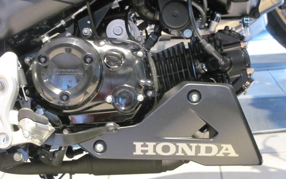 Neufahrzeug Honda MSX125 Grom - Bild 5