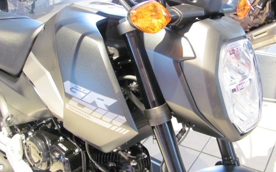 Neufahrzeug Honda MSX125 Grom - Bild 6