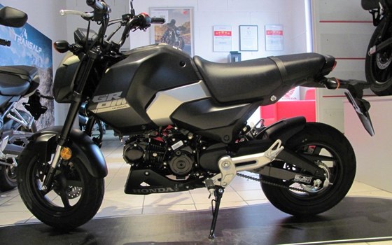 Neufahrzeug Honda MSX125 Grom - Bild 8