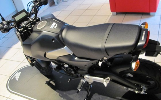 Neufahrzeug Honda MSX125 Grom - Bild 9