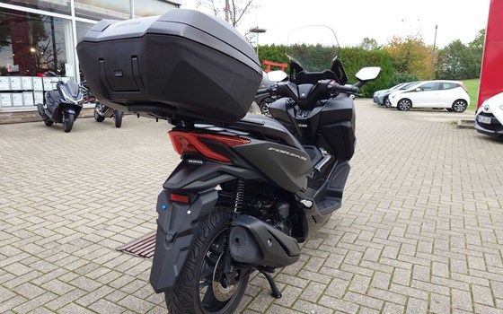 Gebrauchtmotorrad Honda Forza 350 - Bild 10