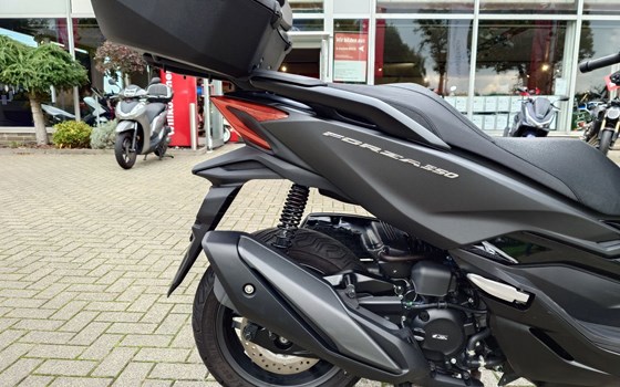 Gebrauchtmotorrad Honda Forza 350 - Bild 2