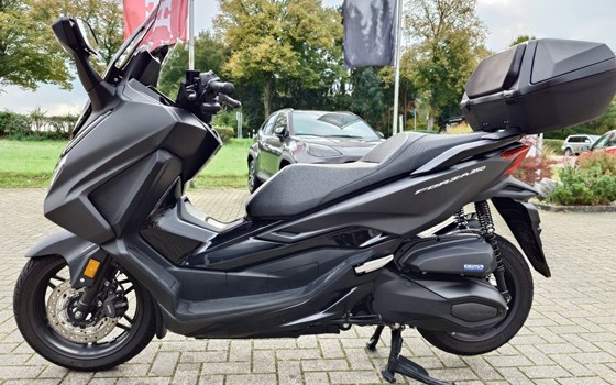 Gebrauchtmotorrad Honda Forza 350 - Bild 6