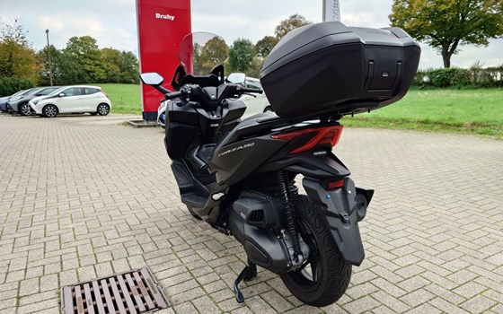Gebrauchtmotorrad Honda Forza 350 - Bild 9