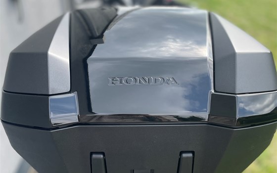 Gebrauchtmotorrad Honda Forza 300 - Bild 6