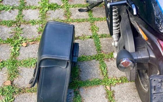 Gebrauchtmotorrad Harley-Davidson Street 750 - Bild 8 Gebrauchtmotorrad Harley-Davidson Street 750 - Bild 8