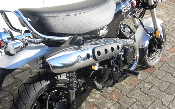 Neufahrzeug Honda Dax 125 - Bild 2
