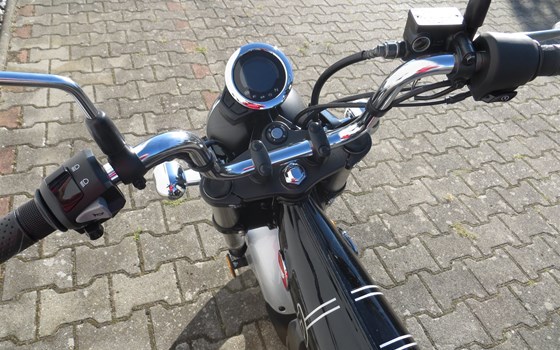 Neufahrzeug Honda Dax 125 - Bild 5