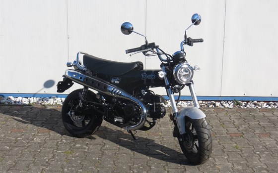 Neufahrzeug Honda Dax 125 - Bild 6