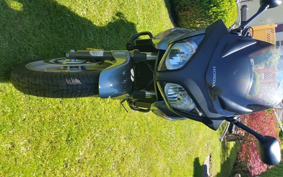 Gebrauchtmotorrad Honda CBF 600 S - Bild 12