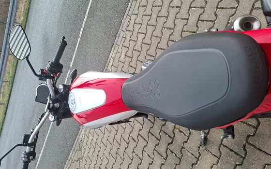 Gebrauchtmotorrad Ducati Scrambler Icon - Bild 10