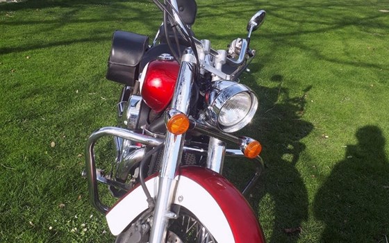 Gebrauchtmotorrad Honda VT 750 - Bild 8