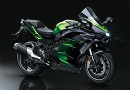 Neumotorrad Kawasaki Ninja H2 SX SE