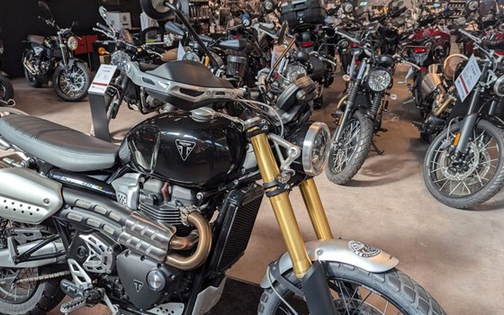 Gebrauchtmotorrad Triumph Scrambler 1200 XE - Bild 2