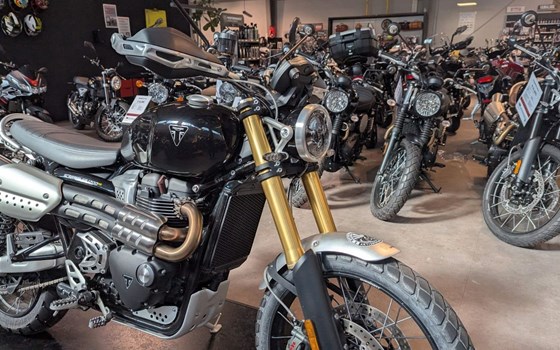 Gebrauchtmotorrad Triumph Scrambler 1200 XE - Bild 3