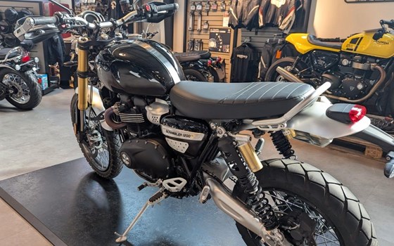 Gebrauchtmotorrad Triumph Scrambler 1200 XE - Bild 5