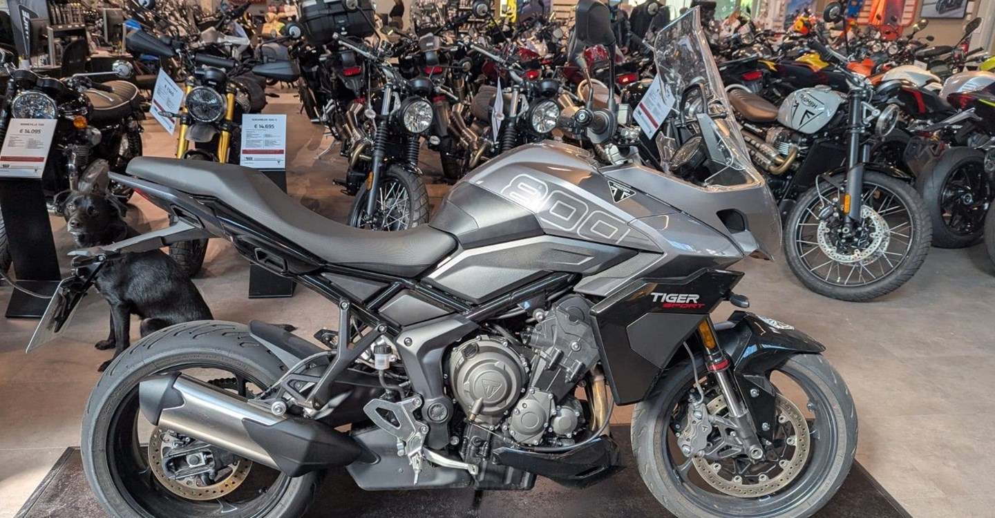 Angebot Triumph Tiger Sport 800