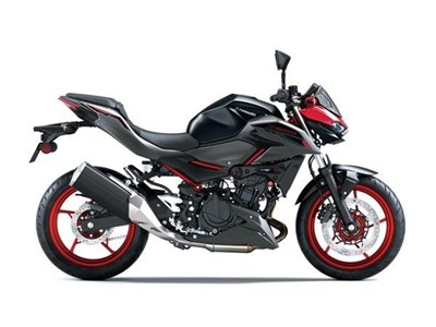 Z 500 SE