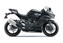 Neumotorrad Kawasaki Ninja ZX-4RR