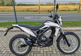 Neumotorrad Beta Alp 4.0