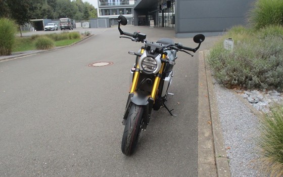 Neufahrzeug Suzuki GSX-8T - Bild 3