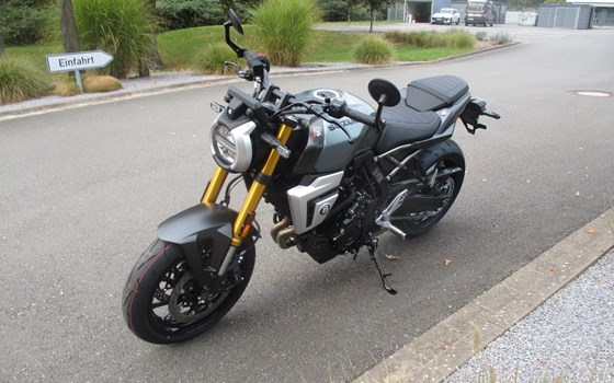 Neufahrzeug Suzuki GSX-8T - Bild 5