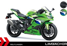 Neumotorrad Kawasaki Ninja ZX-4RR