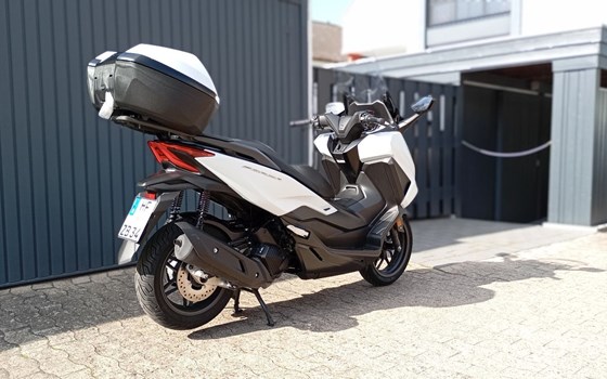 Gebrauchtmotorrad Honda Forza 125 - Bild 2