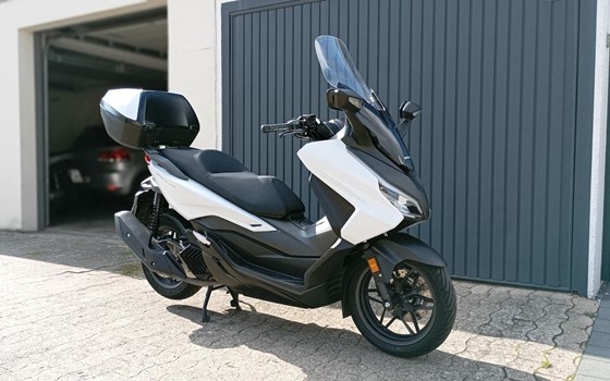 Gebrauchtmotorrad Honda Forza 125 - Bild 3