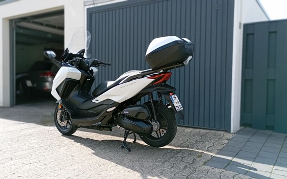 Gebrauchtmotorrad Honda Forza 125 - Bild 6