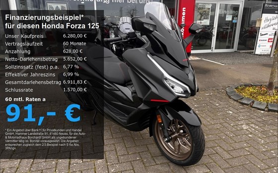 Neufahrzeug Honda Forza 125 - Bild 1