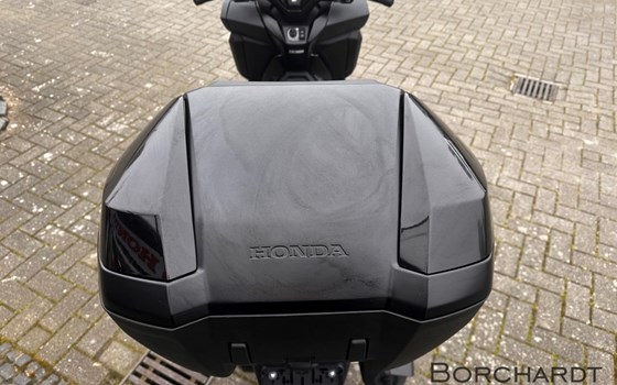 Neufahrzeug Honda Forza 125 - Bild 11
