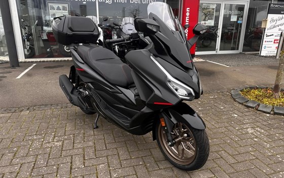 Neufahrzeug Honda Forza 125 - Bild 2
